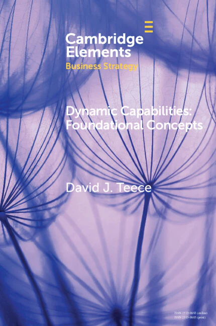 Dynamic Capabilities - Image 2