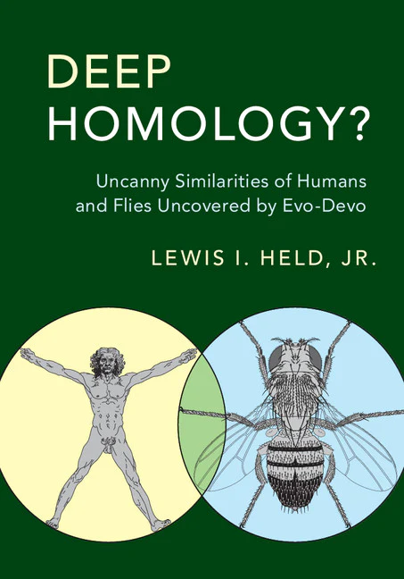 SALE Deep Homology?